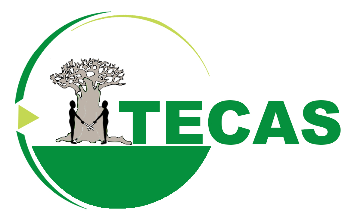 TECAS NEW LOGO FINAL NEW 2